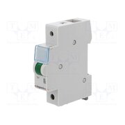 L 313 LED indicator; 230VAC; for DIN rail mounting; Colour: green RkIqZx8QD1-cUQ1c9fV3KNe5gQ-zzUEdXx0jEFCcC6s