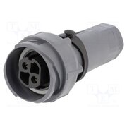 PXP7011/02S/ST/1113 Connector: circular; plug; female; PIN: 2; 25A; 600V; Buccaneer 7000 iCk_nZr8eFWC8rR0v57h5syZjY39TB2GQg6s3ksB7xg