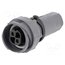PXP7011/02S/ST/1113 Connector: circular; plug; female; PIN: 2; 25A; 600V; Buccaneer 7000 iCk_nZr8eFWC8rR0v57h5syZjY39TB2GQg6s3ksB7xg