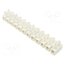 BM9204 Connector: terminal block; 500V; screw terminal; Contacts: brass 9X-bjrKmVmIaUwaUIpu8-pG5-rgdt6Aa5e9B18OK8QQ