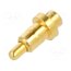 P70-6000045R connector Pogo Pin w/peg 1.03x2.8mm T&R QmcYnhpyhGHNr9mQt_lQqLXTwG0hJ19LgXO31Fr1Xts