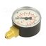 106-KD Manometer; 0÷10bar; G 1/4",bottom connection; 50mm; plastic a_CuHiZZFYfyyJ-9IBAVgswLxOFyWzZnf3HlSeqW7n4
