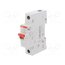 2CDD271111R0032 Switch-disconnector; Poles: 1; for DIN rail mounting; 32A; 240VAC AOT9Op9W_gOJWu0qr4OvU8J2DkeKo9G6WXyxS9JFl5Q