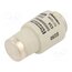 DIIIGG50V63 Fuse: fuse; 63A; 500VAC; 500VDC; gG; industrial; DIII QejgOAjELtxiFewNnRORR-z4F4Za8-A6oU17AOuGXfE