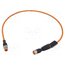 RST 4-RKT 4-1006/0,6 M Cable: for sensors/automation; PIN: 4; 0.6m; Insulation: PUR kJ1ms471oNn19y35W12Y2MaQrOAHglVfrqmcMJgjJLM
