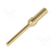 09670005576 Contact; male; gold-plated; 0.13÷0.33mm2; 26AWG÷22AWG; crimped J8B2hJEFoJ5TtaVbtjYSFY1VVI2cJ2tuckLUgp-4QxA
