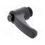 ERX.78 B-M12-C1 Lever; adjustable; Thread len: 17mm; Lever length: 78mm; -30÷130°C TPTeMi2_aSRFlvitk-Vp5wQwmi3C6xTls2FbeyrCWaw
