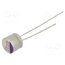 32SEPF22M Capacitor: polymer; 22uF; 32VDC; THT; ±20%; Ø6.3x5.5mm; OS-CON SEPF i45cnnXV35gHqCaegDotvpLyeX1PbGkspPOWhbM0nv4