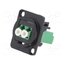 CP30248MB Connector: fiber optic; coupler; single mode duplex (SM); metal bGCWk4ygIv8bGx7TAVz0isW7PcrPioZgFW9p7bDe6gY