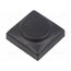 825.000.011 Button; rectangular; black; polyamide; 18.3x18.3mm P9ncBNwdCCb9wj_-8xdViEazpOxMNyGKsClj41RiKoo