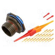 D38999/24WD19PN Connector: military; socket; male; PIN: 19; straight; crimped; 7.5A 664miTn7ujjJl0isHyVXXoe46AnAewnwocjEvUn-Lqg