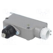 LM-10 Limit switch; plunger; SPDT; 6A; max.400VAC; max.220VDC; IP56 -0ki-eK3l3m0UAjNjJnPL-cJvidgnDwcELnzNJzBL14