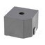 PB12N24M12Q Sound transducer: electromagnetic signaller; SMD; 12VDC y3z1YpBHUJmMqxOQKFeOkYsA9VaVnClJh9Kxzyb_1QA