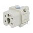 1-1103403-1 Connector: HDC; contact insert; female; HTS HA; PIN: 5; 10A; 250V dD1VZazzsnLmScptd7kDEe1_wpAfv_NNbVy535wZnc4