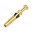 09580006405 Contact; female; copper alloy; gold-plated; 0.75÷1mm2; crimped 25S59YEMNs302w0GbOHSA2ivzKtm46Upo9MI1g-GWso