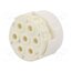 7003907101 Connector: M23; contact insert; PIN: 7; male; for cable 0l4USBG0MJCnyLUhttrK55JODV2mK3DVyNm8nY0RdjU