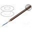 T32 BROWN Wire: microphone cable; 2x0.22mm2; brown; OFC; -15÷70°C Tsd5XnpHSokUsUOIdjJ6PxfX6hBug8CXJfWBL85ti20