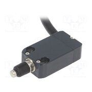 NA B110AE-DN2 Limit switch; pin plunger Ø7mm with dust protection cap; 10A RPO1CmJrTmXdyhTTQ3DSN2QaKPloh71mvMf062MAeGg
