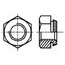 1098438 Nut; hexagonal; M2; steel; Plating: zinc; H: 3mm; 5.5mm; BN 201 t5I2sJnv6xYyDq4dQlpbx_uqTkARbZc5auZVyV5N7Pk