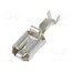 1-160759-1 Terminal: flat; 6.3mm; 0.8mm; female; 0.5÷1.5mm2; crimped; straight Fv9bfzOOqw0jy-hYSO5q1D91KFD0f579-Oq1z5XKNoo