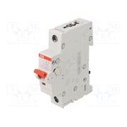 2CDD281101R0025 Switch-disconnector; Poles: 1; for DIN rail mounting; 25A; 253VAC 2JjYpQbYTzvZNbKNRUkm25QtJShcNiwEuKVBNImMAzM