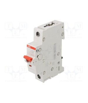 2CDD281101R0025 Switch-disconnector; Poles: 1; for DIN rail mounting; 25A; 253VAC 2JjYpQbYTzvZNbKNRUkm25QtJShcNiwEuKVBNImMAzM