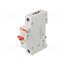 2CDD281101R0025 Switch-disconnector; Poles: 1; for DIN rail mounting; 25A; 253VAC 2JjYpQbYTzvZNbKNRUkm25QtJShcNiwEuKVBNImMAzM