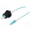 PXF4053CAA Fiber patch cord; PIN: 1; multi mode simplex (MM); bayonet KgJre-WQB7603RmlHiefVpOTav1os98w_XsX4anOBZw
