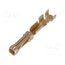 181270-1 Contact; female; gold-plated; 26AWG÷22AWG; crimped; for cable VhgnXW6kfCl1HyZ-L8loRNGeRYI9sxQT4tt_Jwi2e60