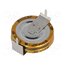 BCE005R5H105FS Supercapacitor; THT; 1F; 5.5VDC; ±20%; Ø19x6.5mm; -25÷70°C; EDLC oWhYuIB7qCnYMxFLaaKt-kq9dtlnOPnrd6K2_7atwho