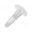 8G820V40984 Assembly stud; polyamide; L: 6.4mm; latch/latch; Ø2: 5.4mm; Ø1: 4mm USQzrD7tHZQ5uYB795DyjVvUKGgGFhL521BglGPhfVc