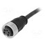 21349700598050 Connector: 7/8"; plug; 5m; female; PIN: 5; straight; with lead E9an1i4XNpXmgUrcrqlDcouwgE9T3-aBgHzHmNrzYSo