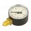 104-K Manometer; 0÷4bar; G 1/4",bottom connection; 50mm; Temp: -20÷60°C Ld9Ll4-DPR2Dgd3UYeP3uPJuhRg4huR_hz2RUyY1v6w