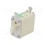 004111736 Fuse: fuse; 160A; 690VAC; aM; ceramic,industrial; NH00; WT-NH D2WNUpi3HBh_MkKLrIH2d0F8RIjg0Ur-ICum-FAZGMs