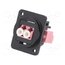 CP30247M3B Connector: fiber optic; coupler; single mode duplex (SM); metal OFjL5cnm2bsNupGElgy4xm0_oUN-CUeYga6O55Z2WK0