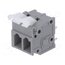 DG242V-5.0-02P-11-00AH Connector: PCB terminal block; terminal; 15A; 300V; straight; grey -PGc6NPr9kMpyt1FFEfmM0cH-dg2SeE2gXw9cjI2DsE