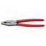 03 01 250 Pliers; for gripping and cutting,universal; 250mm Liaa_71c4SDYdemSiagCyuK8Yf9gQ6MTWIFLnMIfptM