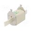 004185419 Fuse: fuse; 250A; 690VAC; aM; ceramic,industrial; NH2C; WT-NH i-7vliLi4bmOb_c8Ft6kZxnXEupr89ZDeBfN5b9j5Sg