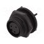 PX0413/03S/PC Connector: circular; socket; female; PIN: 3; 250V; Buccaneer 400 yM8MrgtOMatRWXZxQ9VFhuWK_Q6-fHMQzjotkC0HpKo