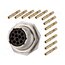 RT071412SNH-K Connector: circular; socket,plug; PIN: 12; female; crimped; RT360 NajIByN3JWmFmqnrBrAiiit22KPbDcbxZOmLJNzEC8U