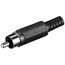PLUG RCA black CKI140J.jpg
