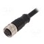 PXPPVC12FBF04ACL010PVC Connector: M12; plug; female; PIN: 4; straight; 4A; 250V; IP67; cables iAO2v1n55n8Rnqkp7NW06CKlQphGMJ6juwK9AjKCE9c
