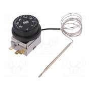 C713202530N - ST-612M Sensor: thermostat with capillary; SPDT; 10A; 400VAC; ±9°C; BT AVizH7tO50c2wrVZKDBVX2iuaVWxjl6wVjDxN42gp4M
