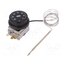 C713202530N - ST-612M Sensor: thermostat with capillary; SPDT; 10A; 400VAC; ±9°C; BT AVizH7tO50c2wrVZKDBVX2iuaVWxjl6wVjDxN42gp4M