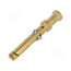 09150006224 Contact; female; copper alloy; nickel plated,gold-plated; 10A VguZ9BNJ9vM0SL6w0WYpKfpcMBSrpc9xTDBzwkURjLQ