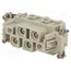 44424044 Connector: HDC; contact insert; female; EPIC® K; PIN: 6(4+2) HPTs1OJFehBLV7OtZl1CJL5QVOhMO63r-0gT6r_fhjs