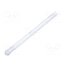 1282.7001 Fiber for LED; Ø3.2mm; L: 43.75mm; round; Front: convex; straight MaNCN9RDOIx73MMIJqryNdzSF6EfzU0yATT3_P11XjM