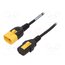 3-100-361 Cable; 3x18AWG; IEC C13 female,IEC C14 male; PVC; 3m; black; 10A p5I_J1lRsxCgtOqWeOidjBeEl2ynMl5nDMiX4vUWHlo