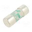 442008 Fuse: fuse; 8A; 690VAC; aM; ceramic,cylindrical,industrial 18cS9Ktk-h6mZkJ2XkPuGew1EX1tcUs0WItfGCK9aDM