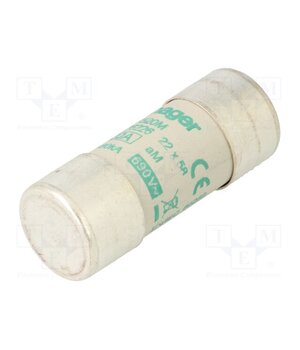 LF520M Fuse: fuse; 20A; 690VAC; aM; cylindrical,industrial; 22x58mm pqE517Ormg3qEZOtGVMYIaVNDxjfBD5BltRw2H5KxU4